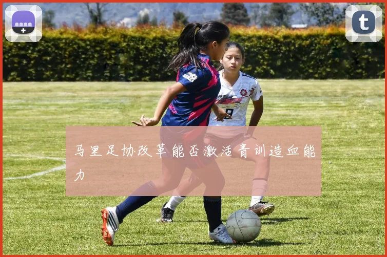 马里足协改革能否激活青训造血能力