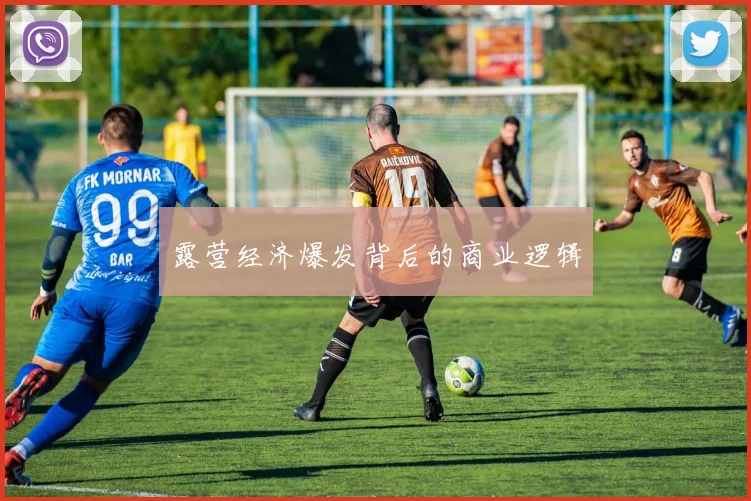 露营经济爆发背后的商业逻辑