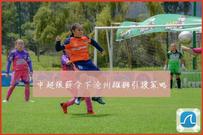 中超限薪令下沧州雄狮引援策略