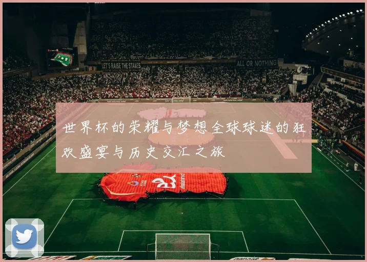 世界杯的荣耀与梦想全球球迷的狂欢盛宴与历史交汇之旅